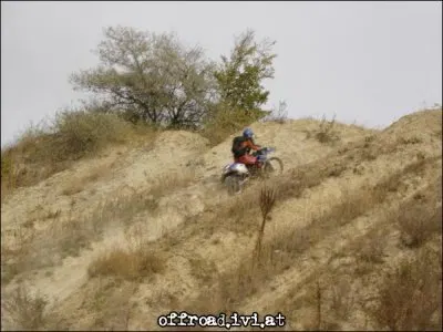 XR in Action