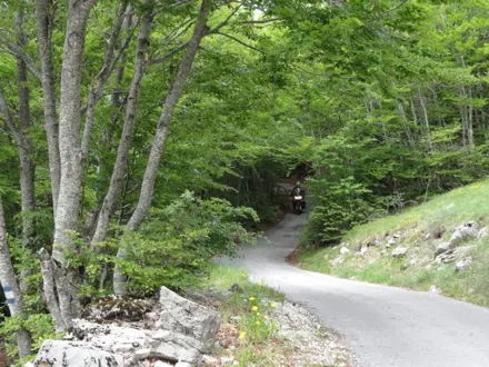 MT12_Montenegro_062