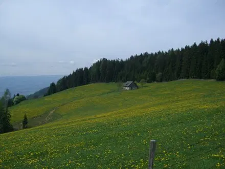 Tourfoto