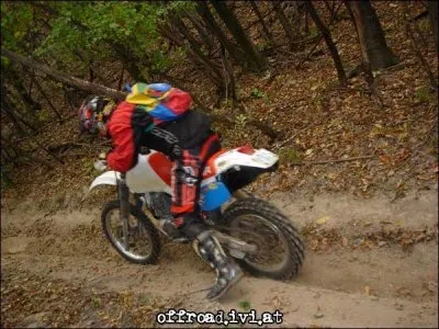 XR in Action