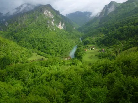 MT12_Montenegro_119