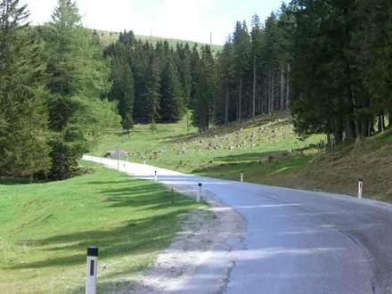 Tourfoto