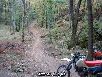 XR in Action