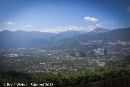 DSC00965