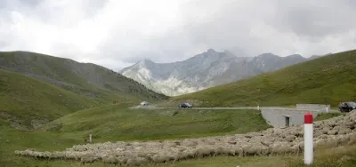 SchFra_4t_ 15